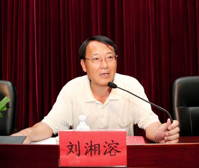 专家组副组长湖南师范大学校长刘湘溶教授在汇报会上讲话