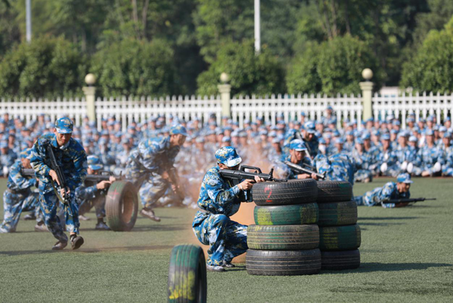 1569234286067002412.png 图片13_副本.png