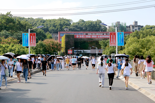 1631579028161082272.jpg 图片6.jpg