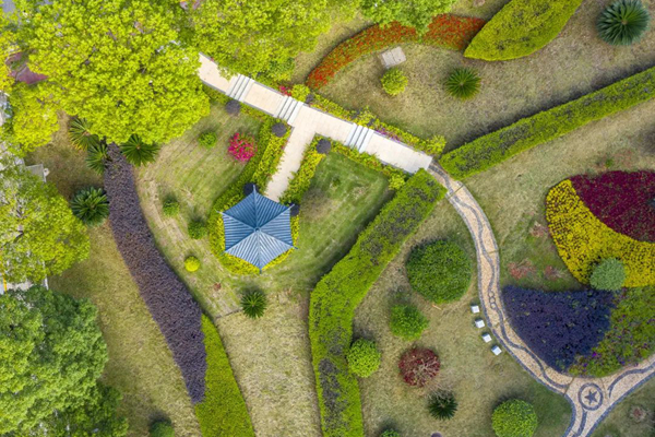 1670992008739008445.jpg 3.jpg