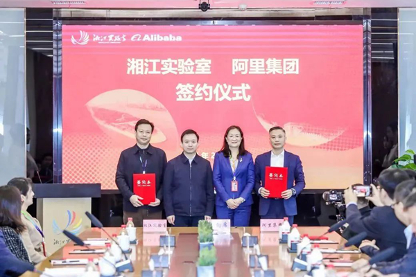 1677160128290008791.jpg 11.jpg