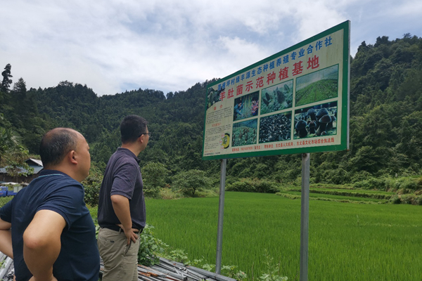 1628516297430009960.jpg 图片4.jpg