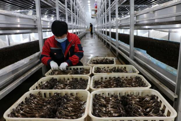 1629505006035008699.jpg 图片3.jpg