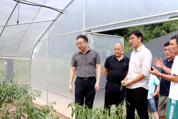 1658465395360068543.jpg 图片2.jpg